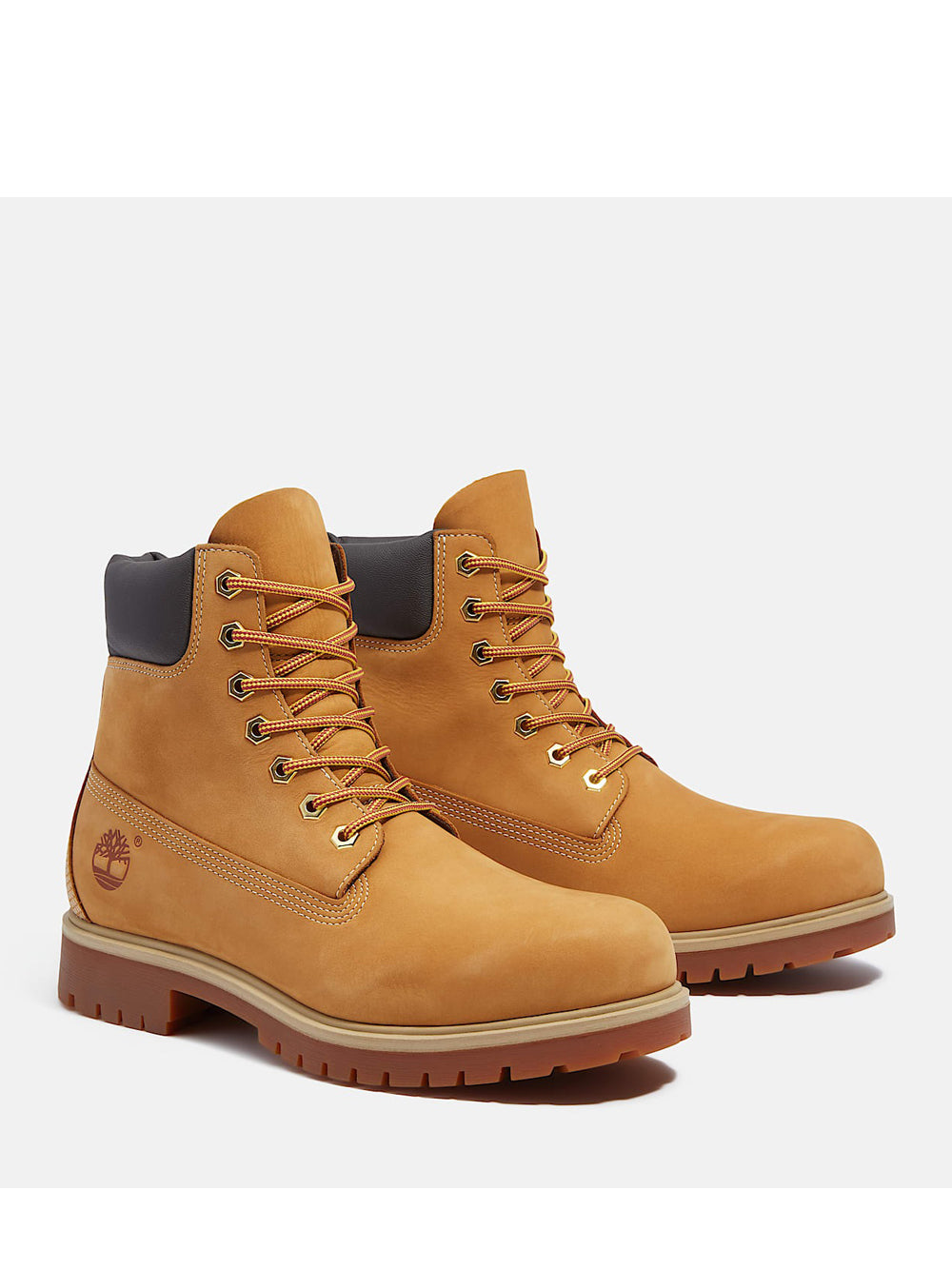 TIMBERLAND Stivaletti Uomo - Giallo modello TB0A6CH6