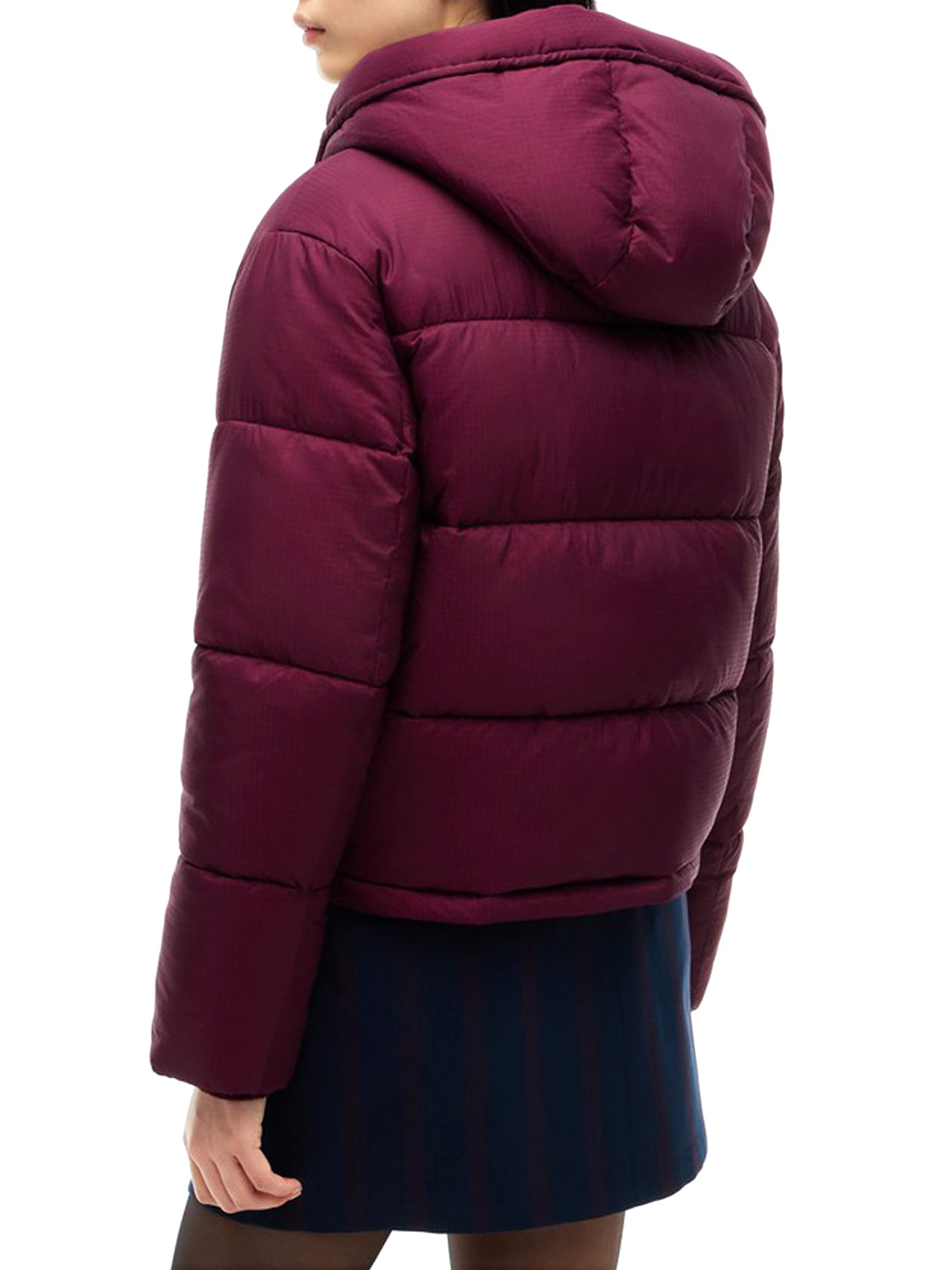 TOMMY HILFIGER Giubbino Donna - Rosso modello DW0DW21625V11
