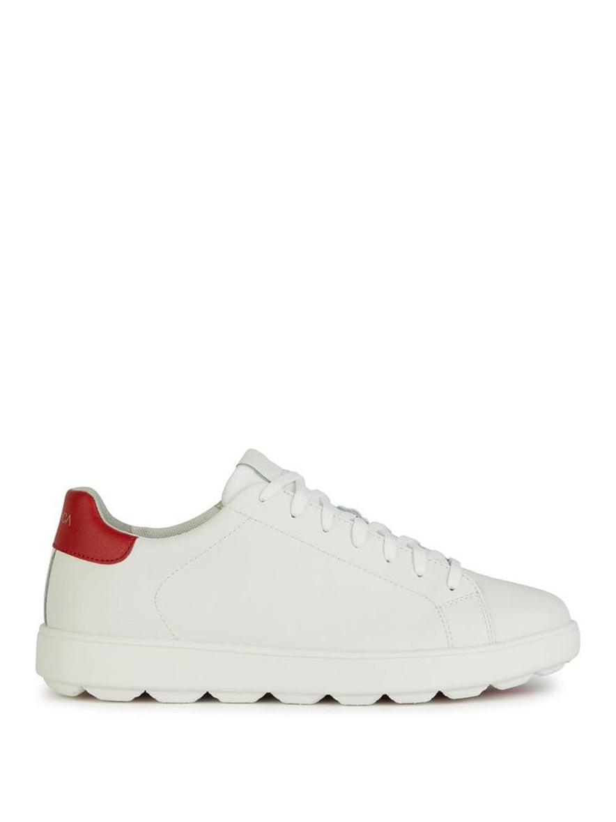 GEOX Sneakers Uomo - Bianco