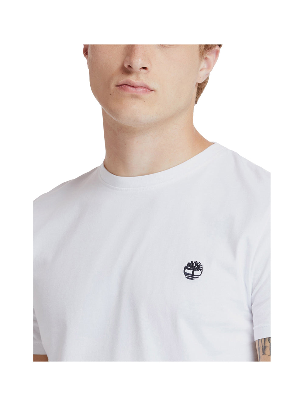 TIMBERLAND T-shirt Uomo - Bianco modello TB0A2BPR