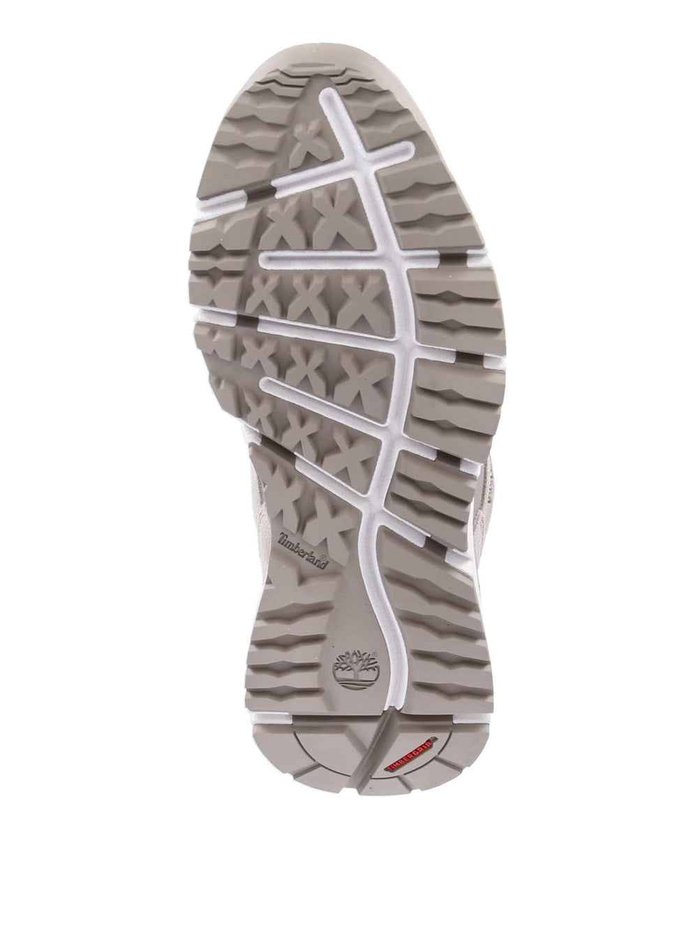 TIMBERLAND Sneakers Uomo - Beige modello TB0A6DTE