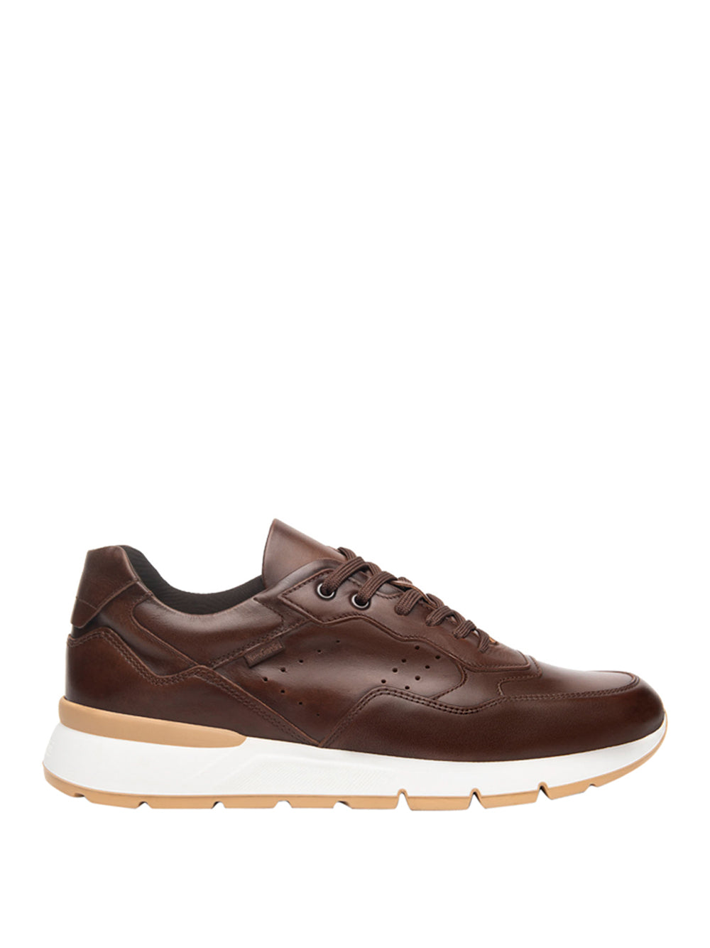 NERO GIARDINI Sneakers Uomo - Beige modello E500640U