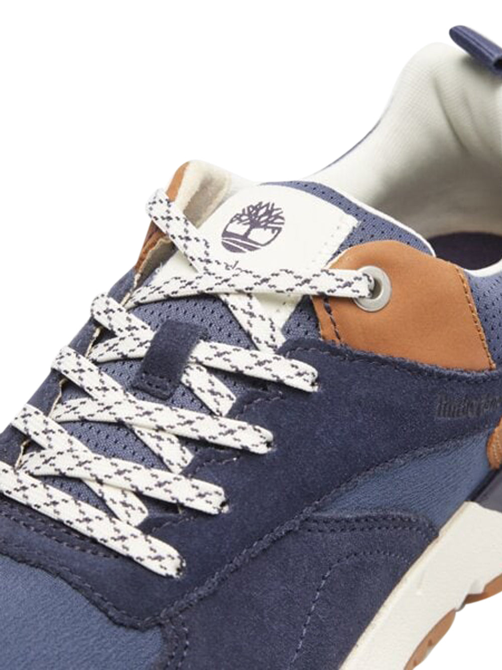 TIMBERLAND Sneakers Uomo - Blu modello TB0A6DTEEP61