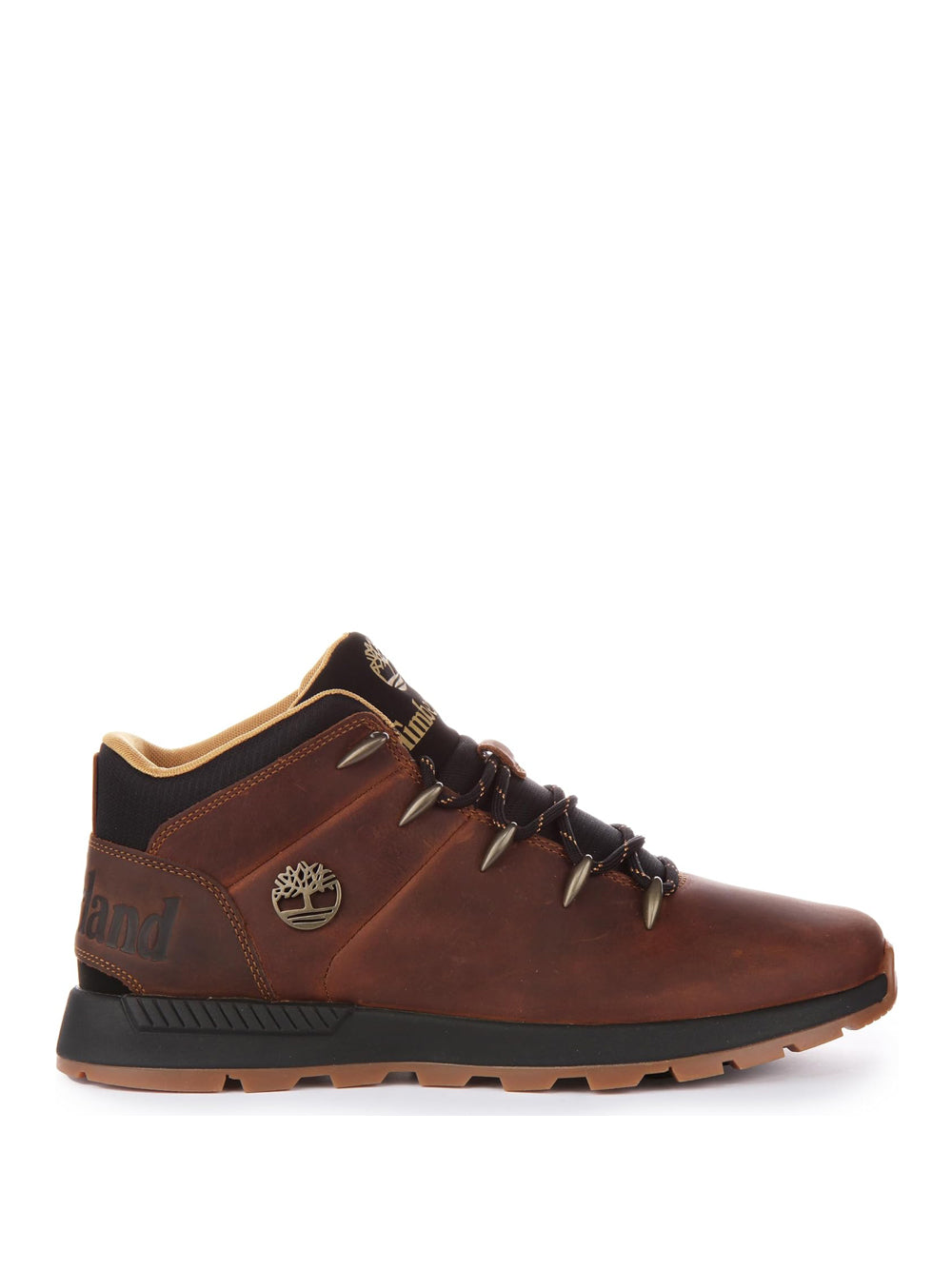 TIMBERLAND Sneakers Uomo - Marrone modello TB0A67TG9431