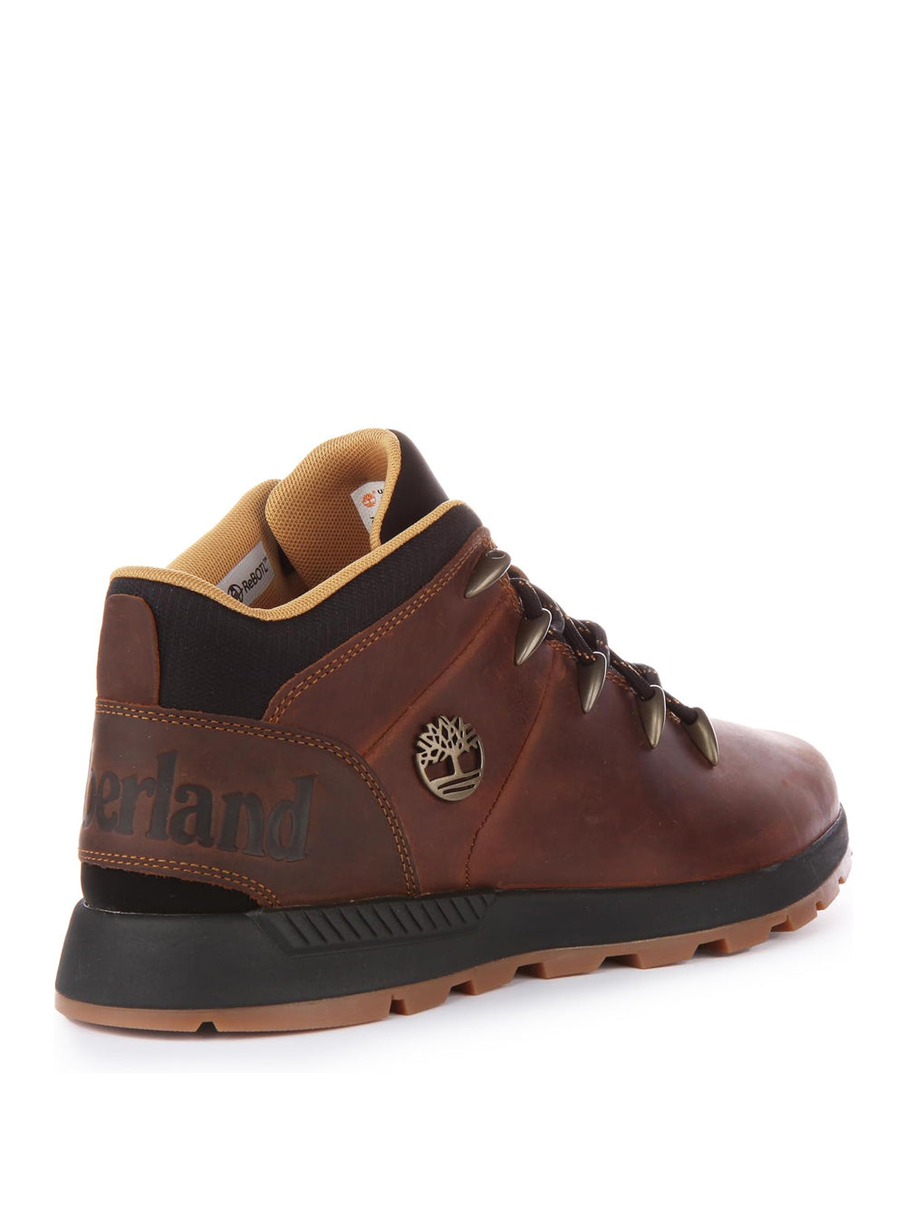 TIMBERLAND Sneakers Uomo - Marrone modello TB0A67TG9431