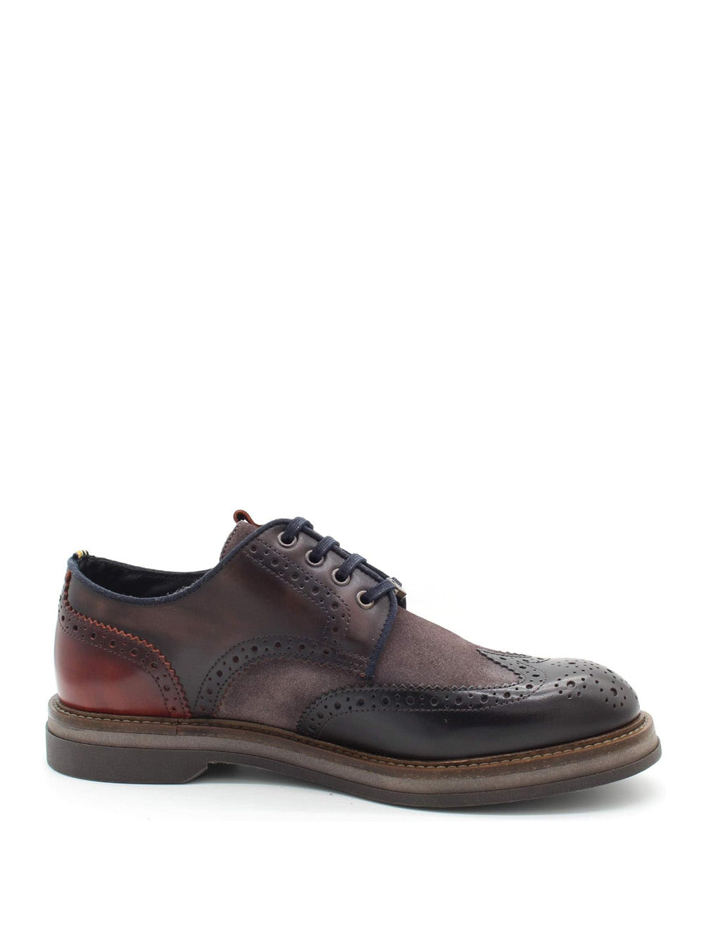 AMBITIOUS Scarpe Stringate duilio Uomo - Testa di moro modello 12391C-6811AM