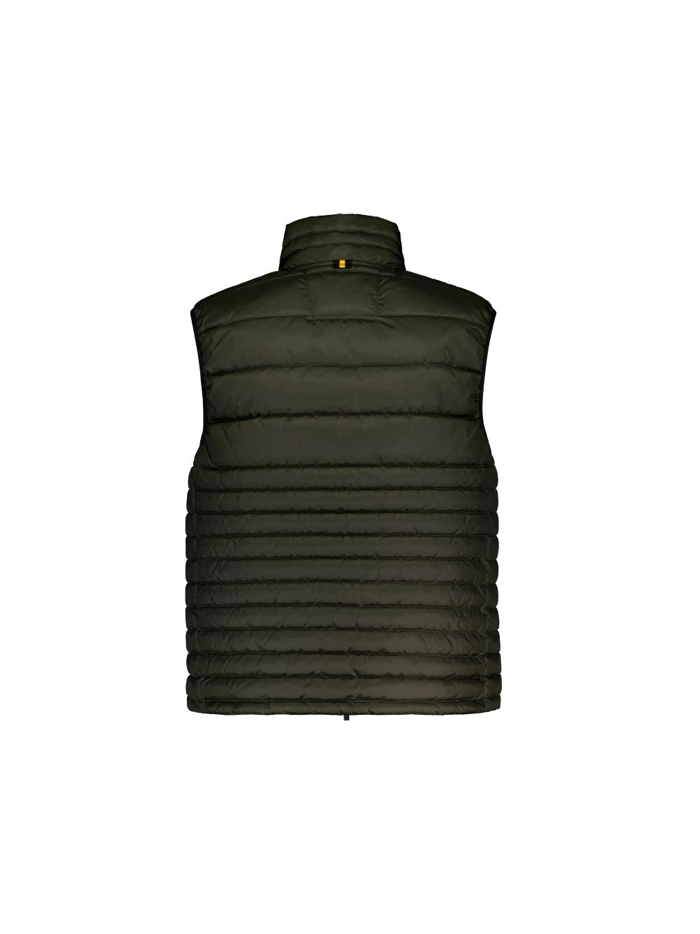 CIESSE PIUMINI Smanicato Uomo - Verde modello 253CPMV00228 P1O10R