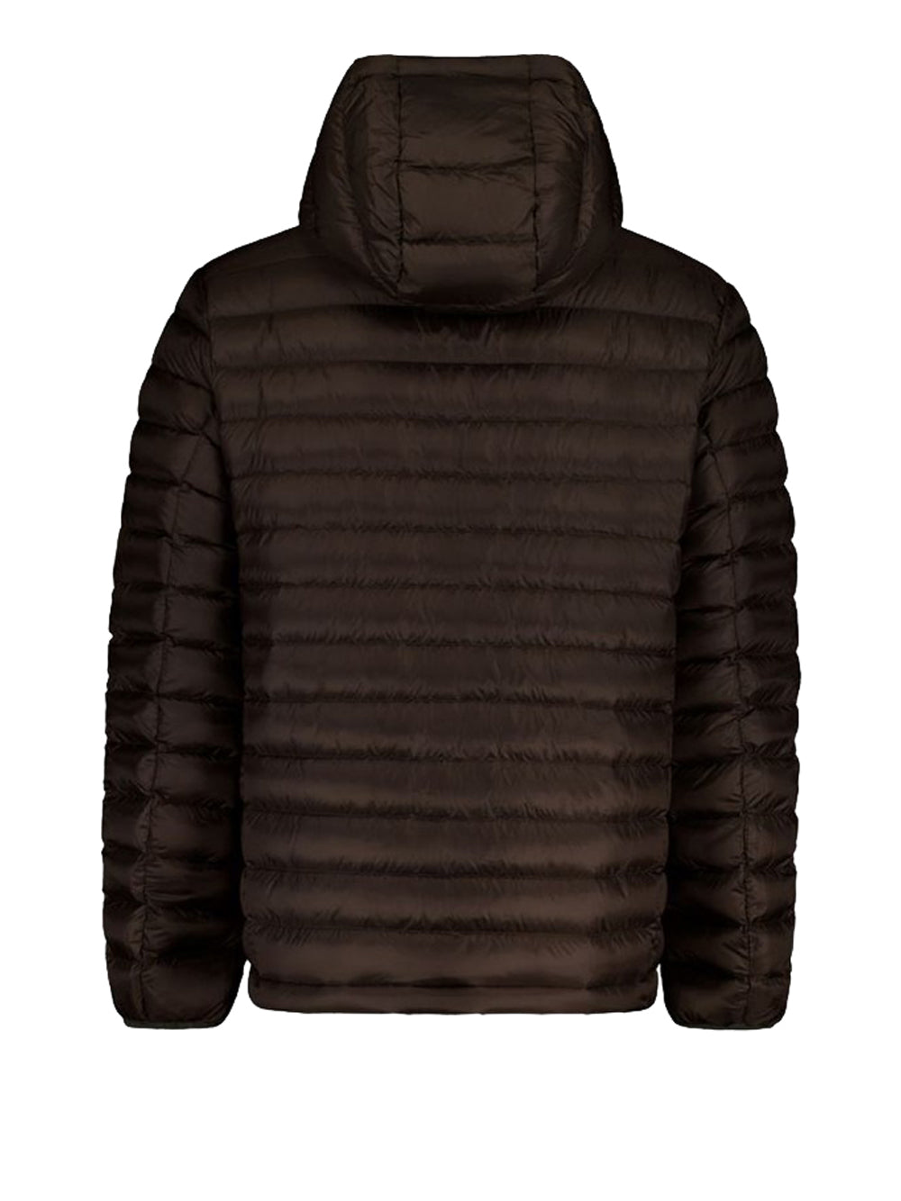 CIESSE PIUMINI Giubbino Uomo - Verde modello 253PCMJ10082 P9F10D