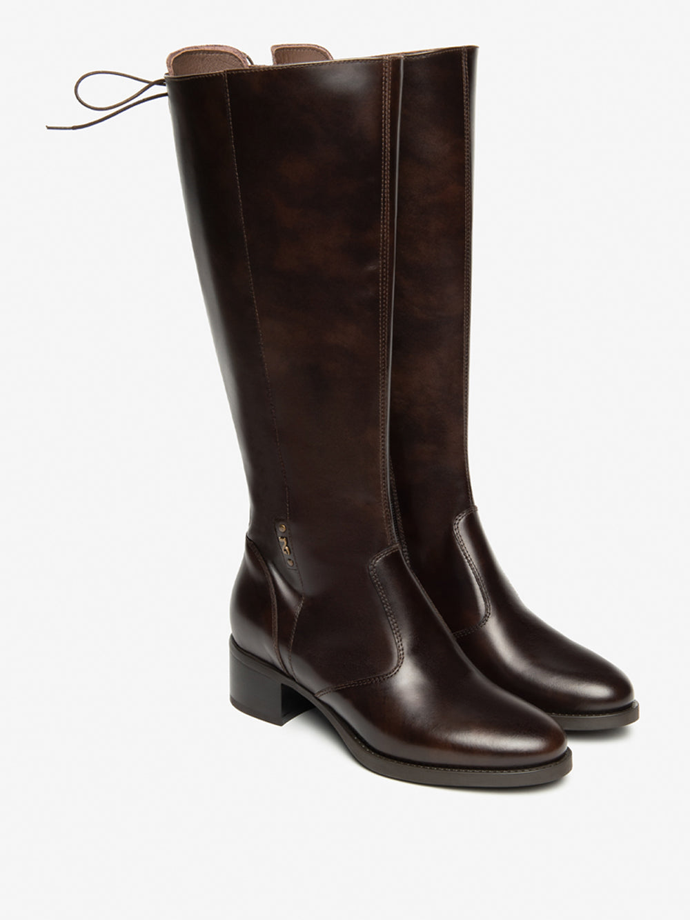 NERO GIARDINI Stivali con tacco Donna - Testa di moro modello I514641D