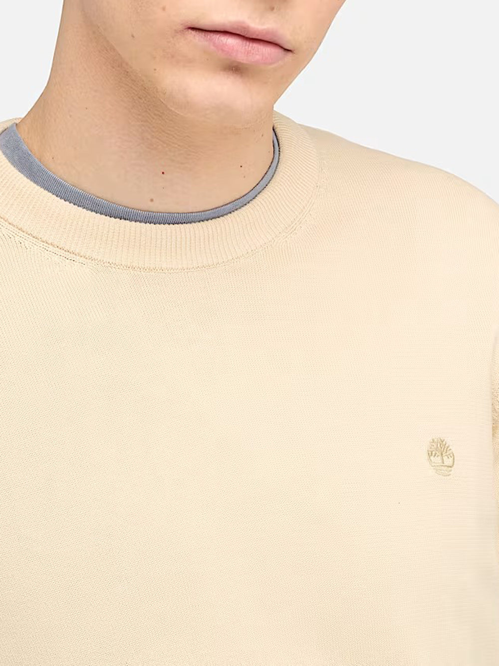 TIMBERLAND Maglione Uomo - Beige modello TB0A2BMM