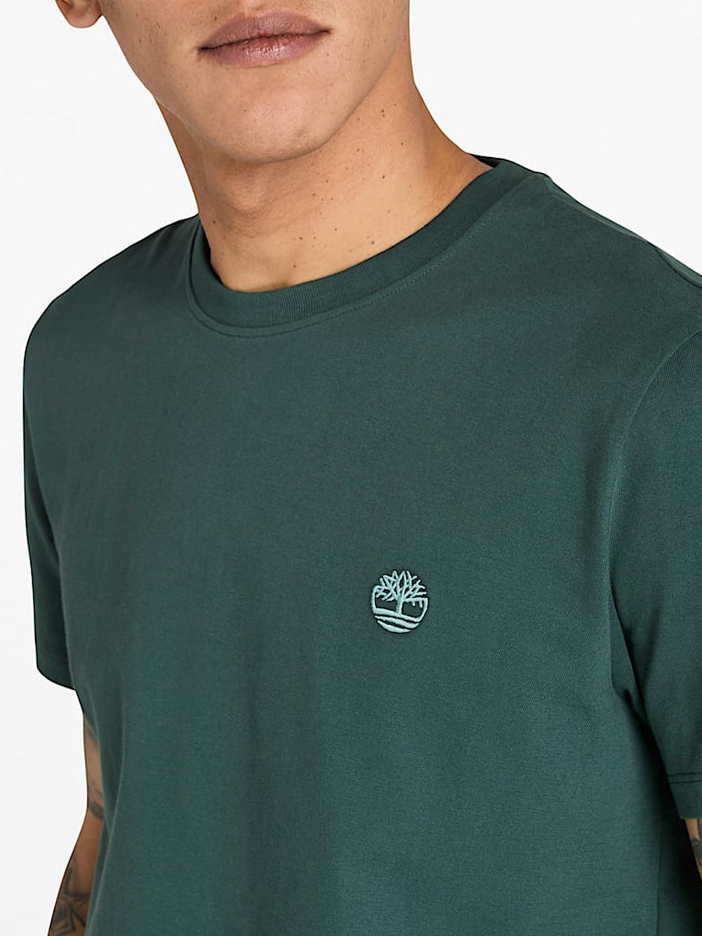 TIMBERLAND T-shirt Uomo - Verde modello TB0A2BPR