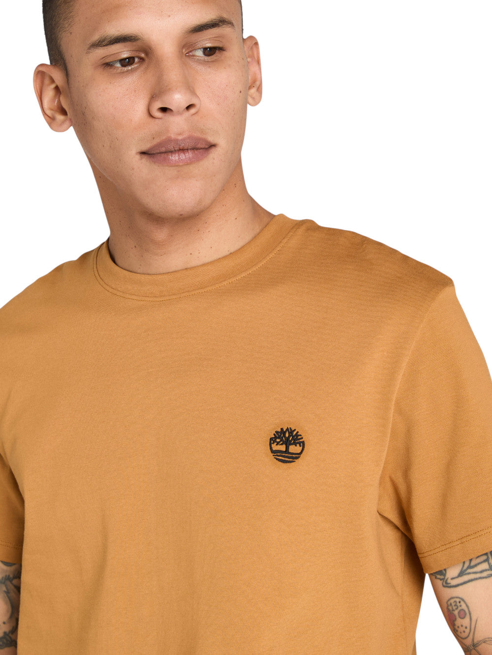 TIMBERLAND T-shirt Uomo - Giallo modello TB0A2BPR