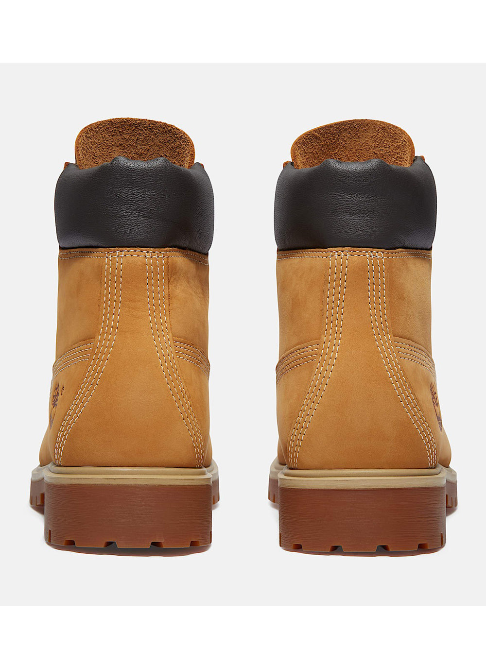 TIMBERLAND Stivaletti Uomo - Giallo modello TB0A6CH6