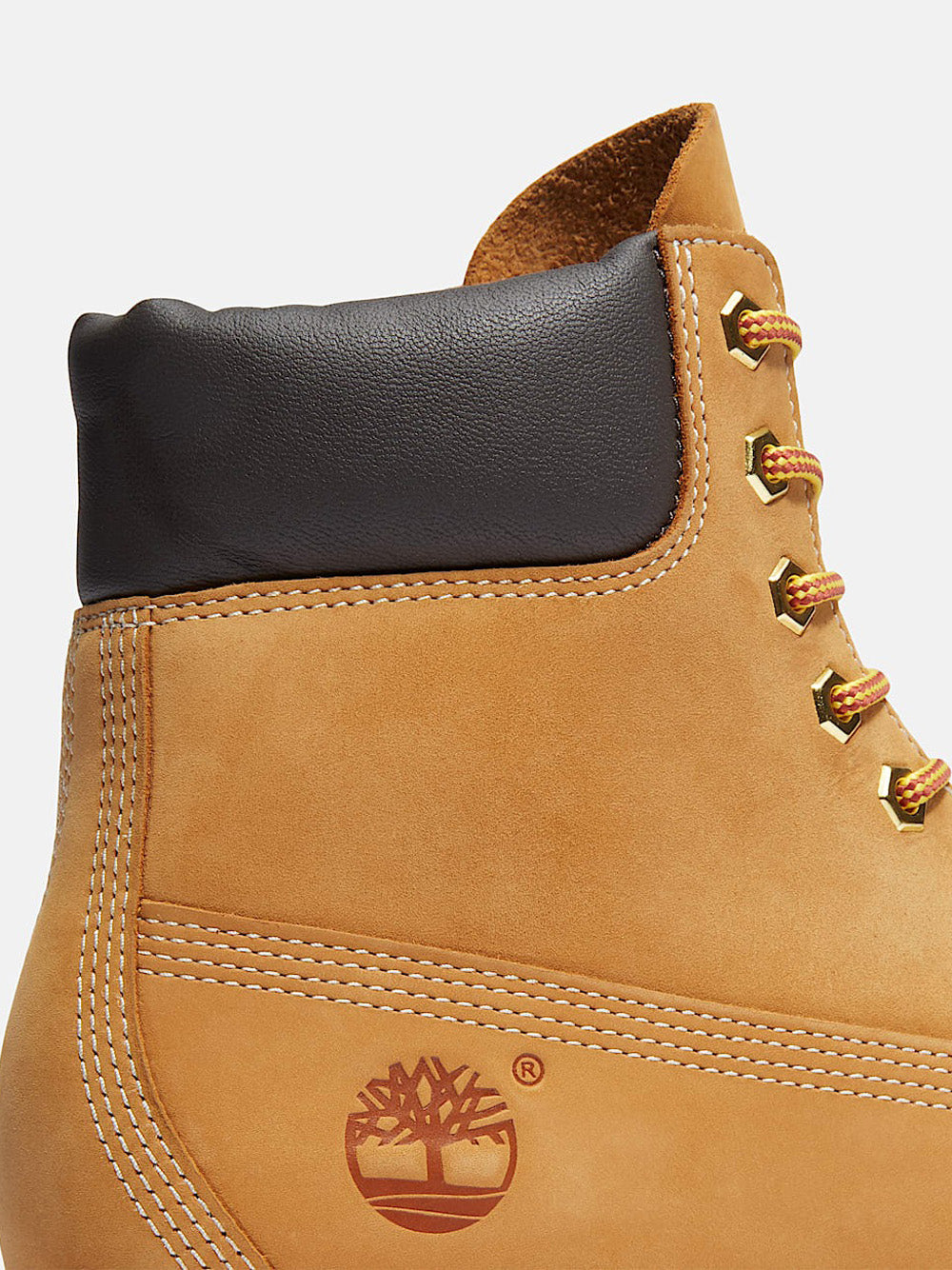 TIMBERLAND Stivaletti Uomo - Giallo modello TB0A6CH6