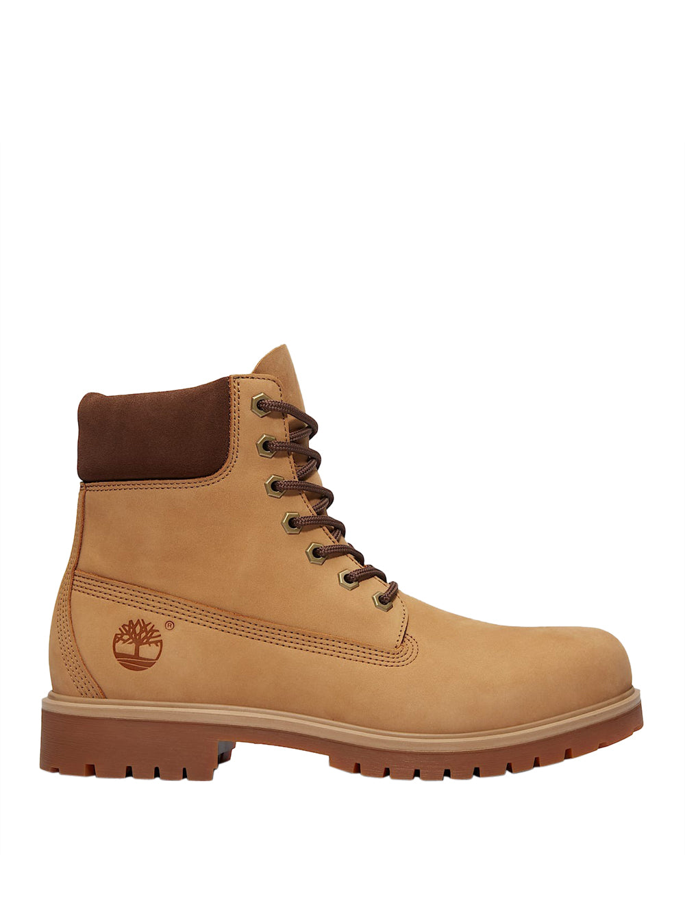 TIMBERLAND Stivaletti Uomo - Marrone modello TB0A6CH6