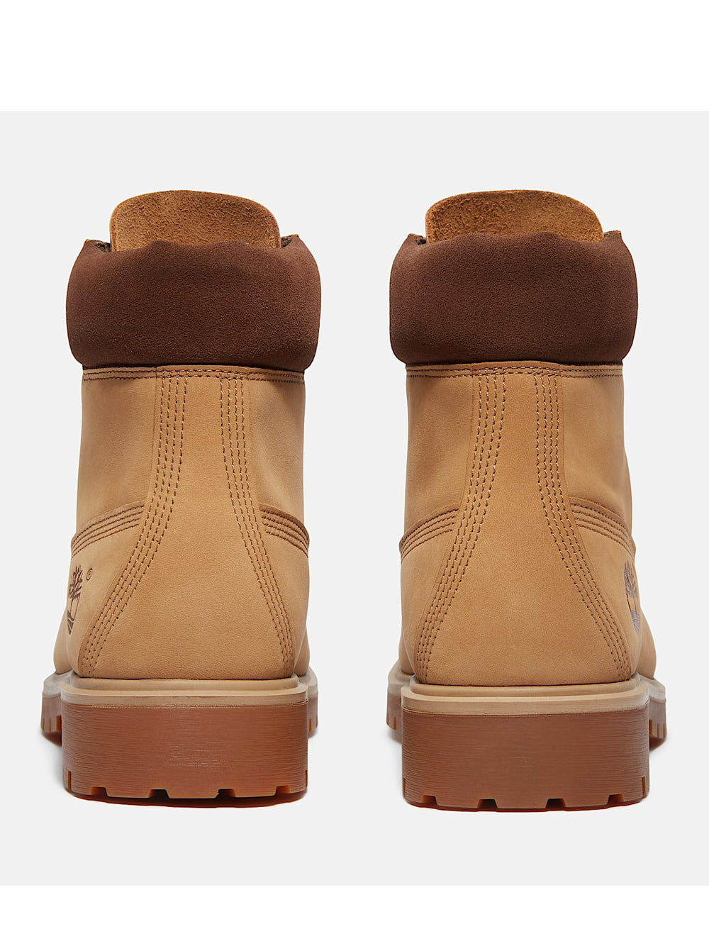 TIMBERLAND Stivaletti Uomo - Marrone modello TB0A6CH6