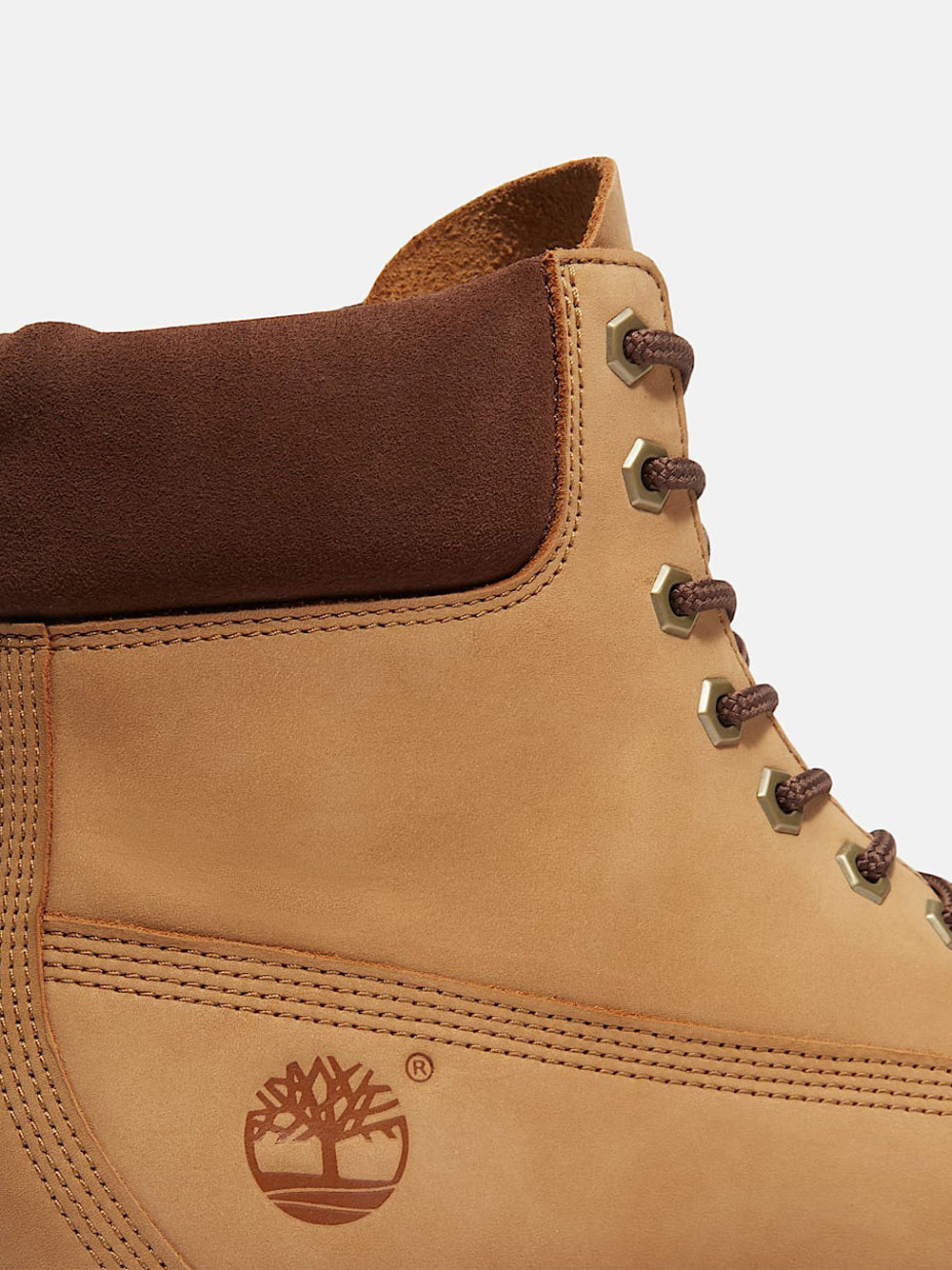 TIMBERLAND Stivaletti Uomo - Marrone modello TB0A6CH6