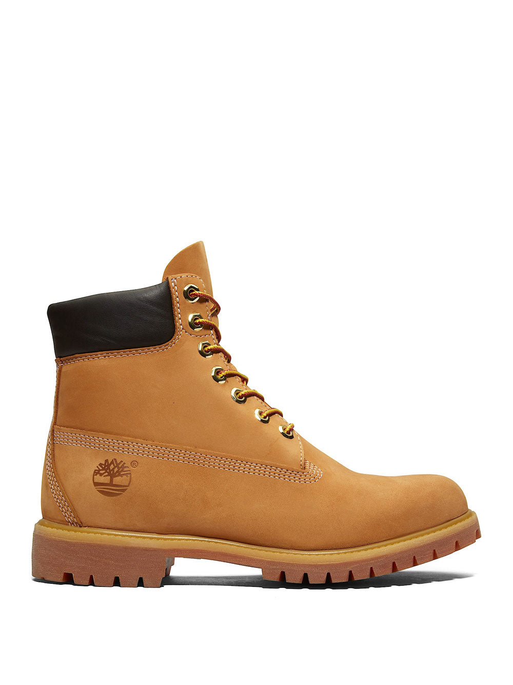 TIMBERLAND Stivaletti Uomo - Giallo modello TB110061
