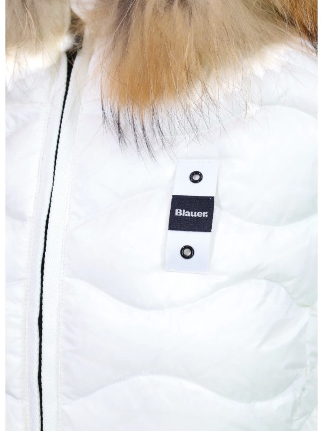 BLAUER Giubbino Donna - Bianco modello 26WBLDC03034