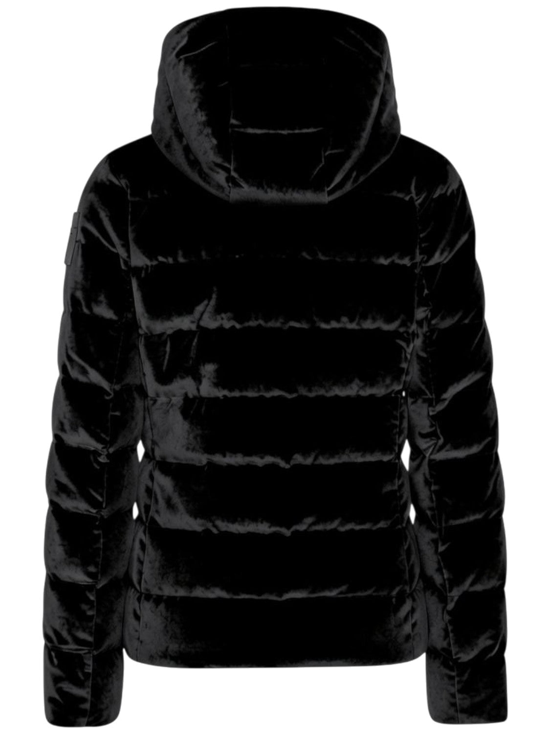 BLAUER Giubbino Donna - Nero modello 26WBLDC03363