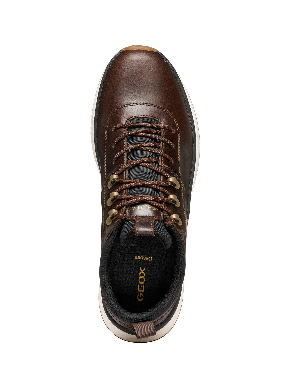 GEOX Sneakers Spherica Uomo - Marrone modello U56HMA-000FF