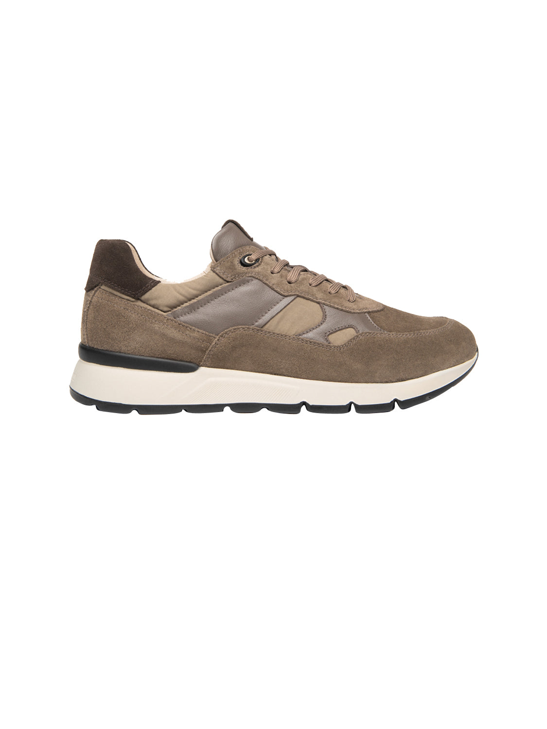 NERO GIARDINI Sneakers Uomo - Fango modello I601290U