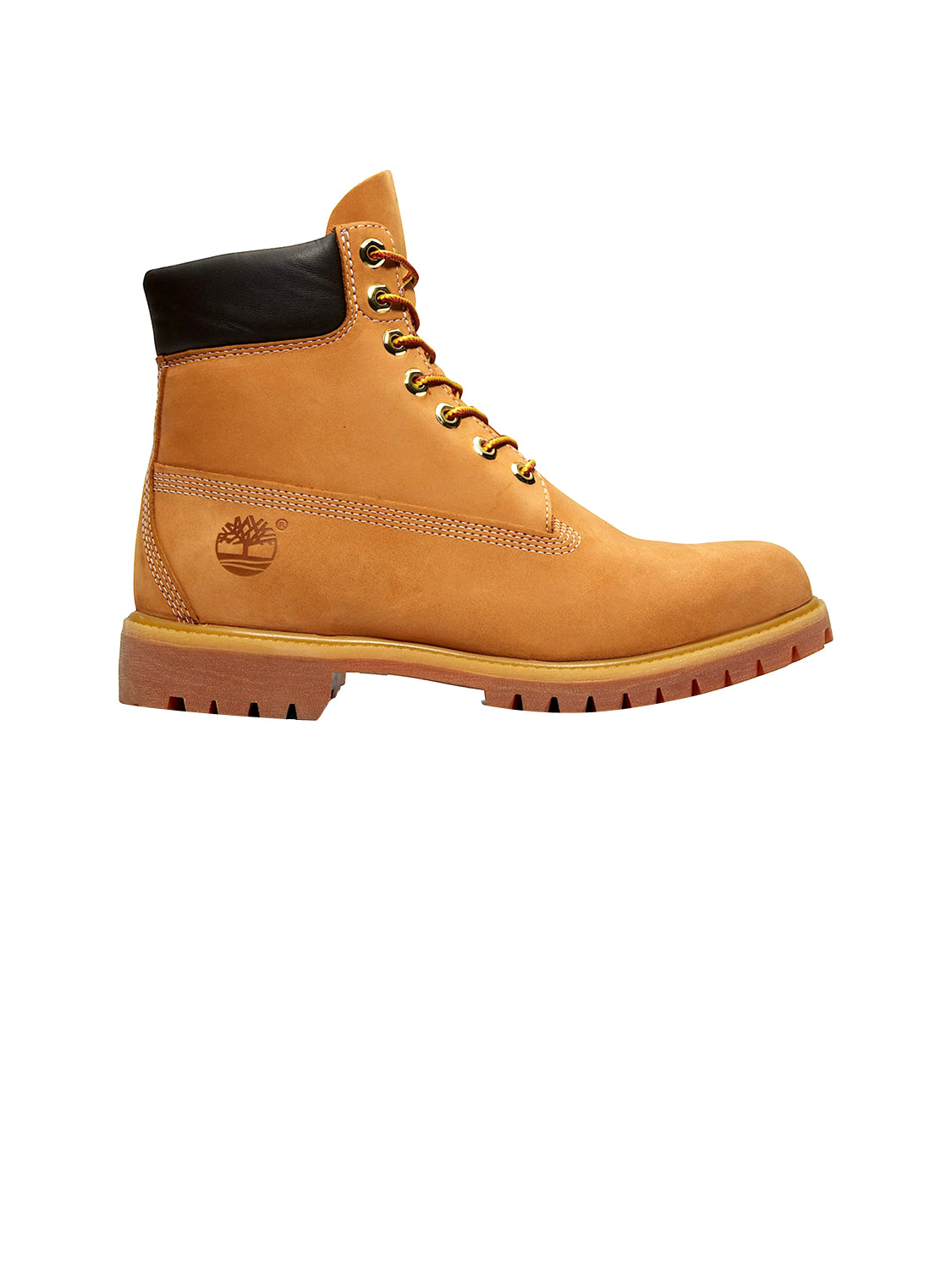 TIMBERLAND Stivaletti Uomo - Marrone modello TB1100617131