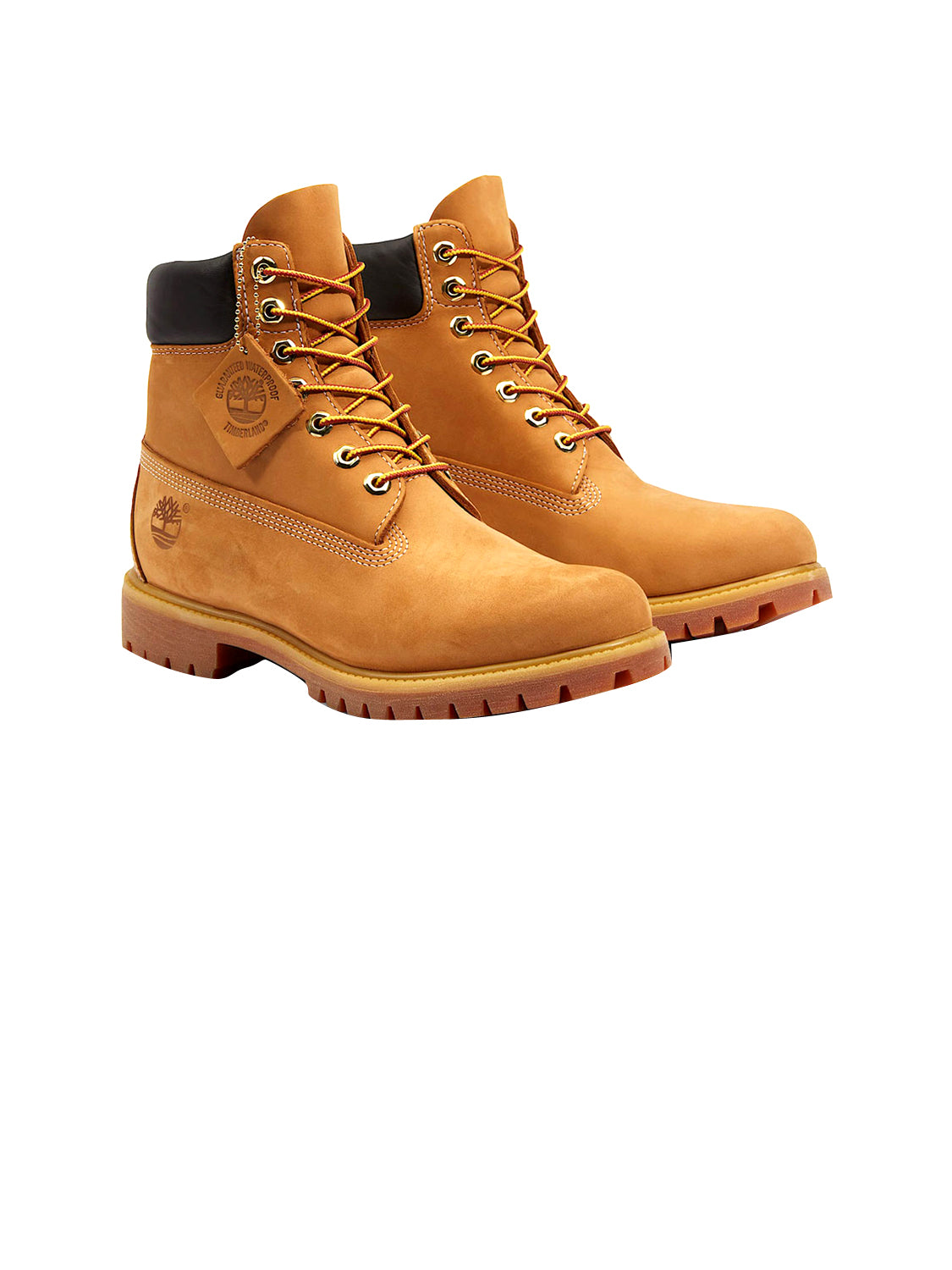 TIMBERLAND Stivaletti Uomo - Marrone modello TB1100617131