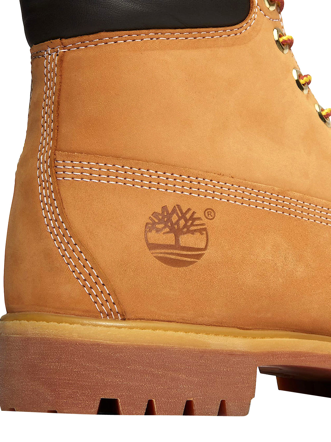 TIMBERLAND Stivaletti Uomo - Marrone modello TB1100617131
