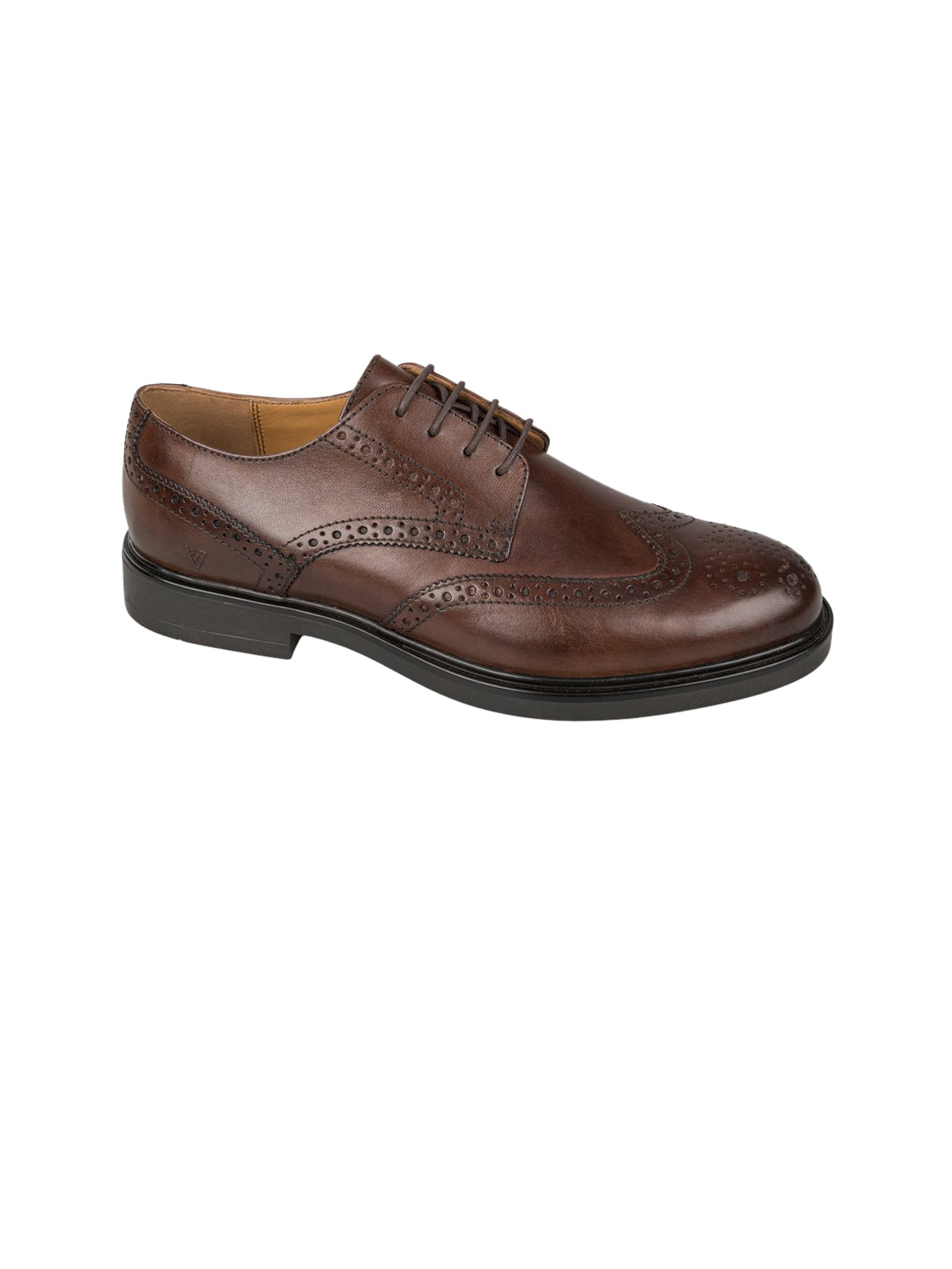 VALLEVERDE Scarpe Stringate Uomo - Marrone modello 17871