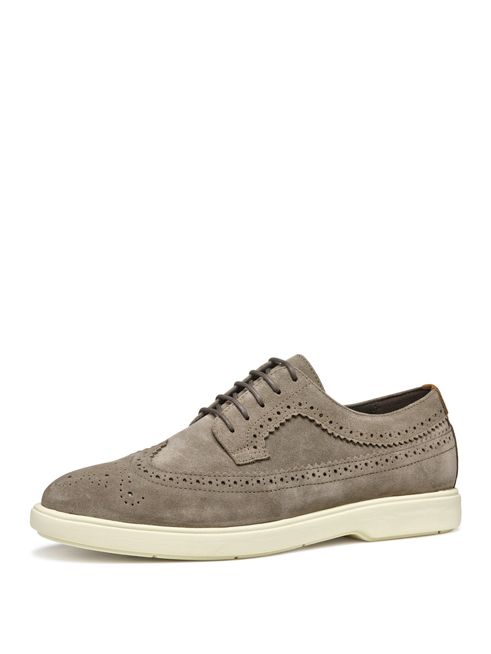 GEOX Scarpe Stringate duilio Uomo - Grigio modello U55LAE22