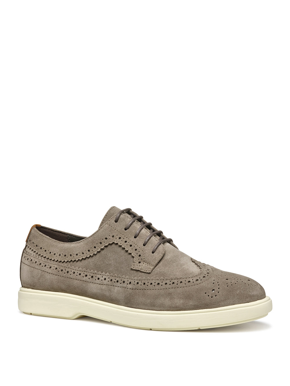 GEOX Scarpe Stringate duilio Uomo - Grigio modello U55LAE22