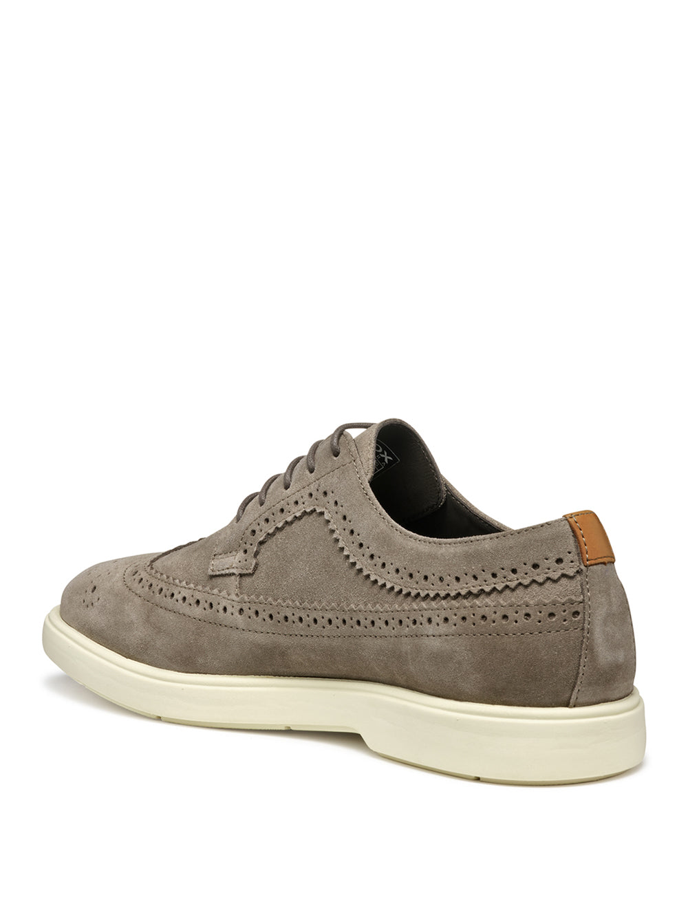 GEOX Scarpe Stringate duilio Uomo - Grigio modello U55LAE22