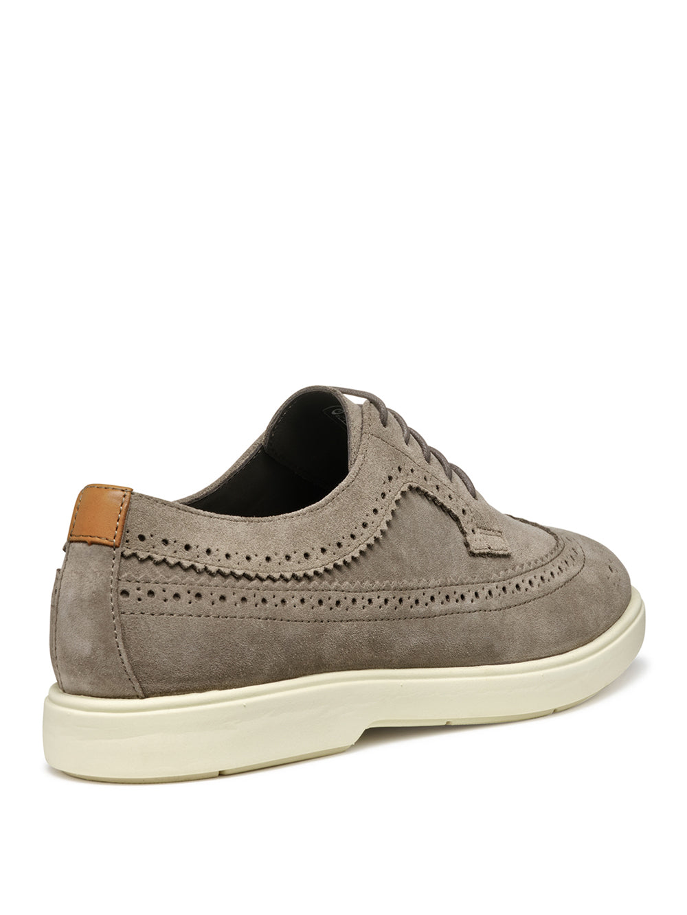 GEOX Scarpe Stringate duilio Uomo - Grigio modello U55LAE22