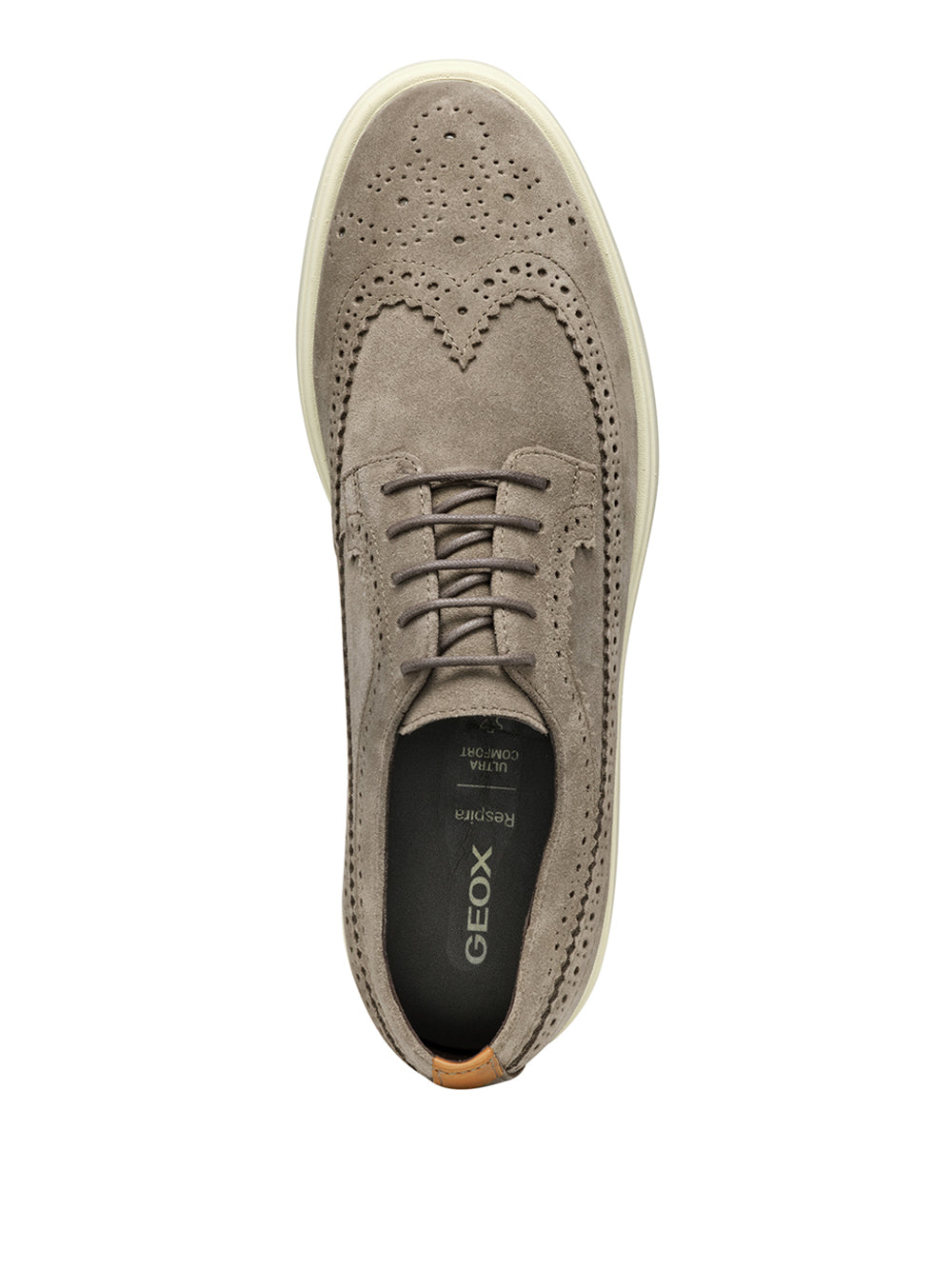 GEOX Scarpe Stringate duilio Uomo - Grigio modello U55LAE22