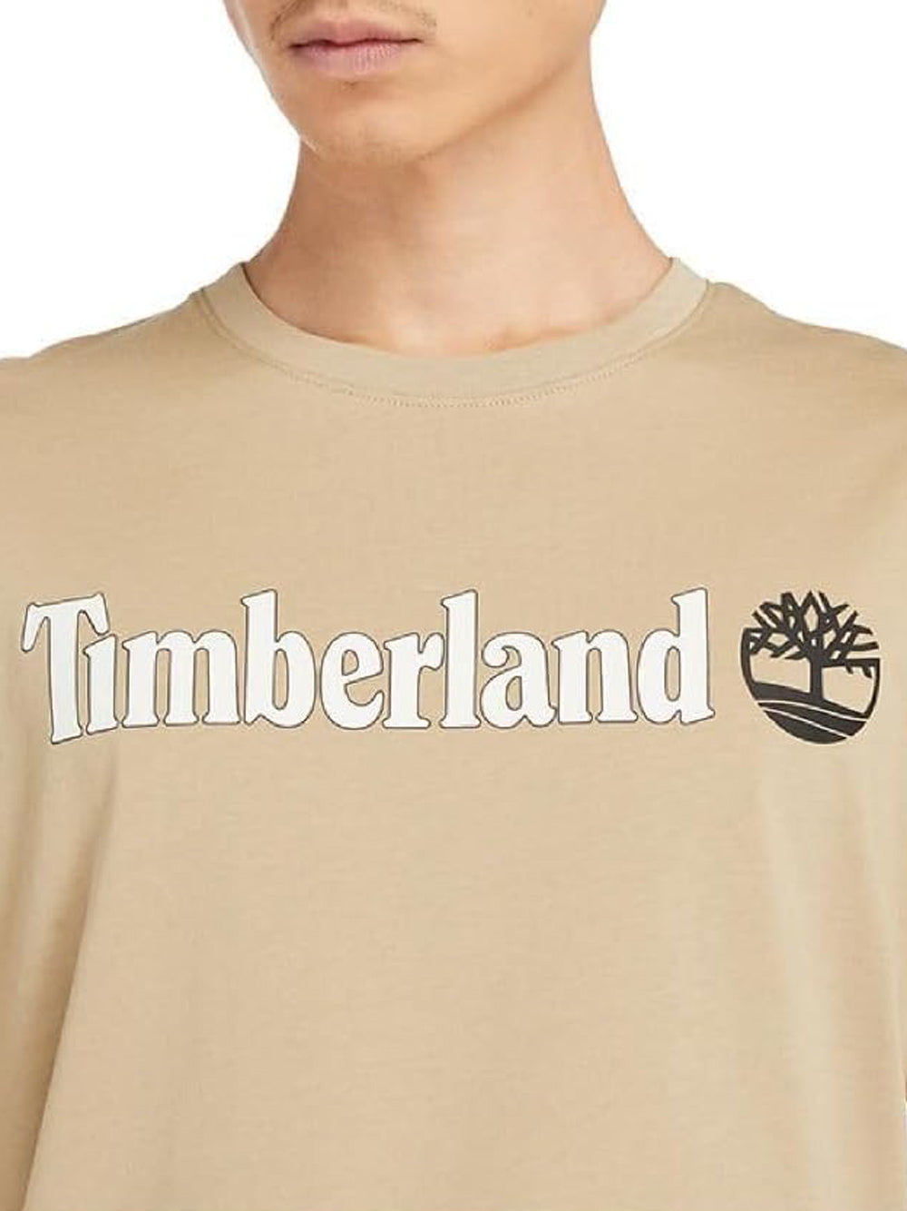 TIMBERLAND T-shirt Uomo - Beige modello TB0A5UPQ