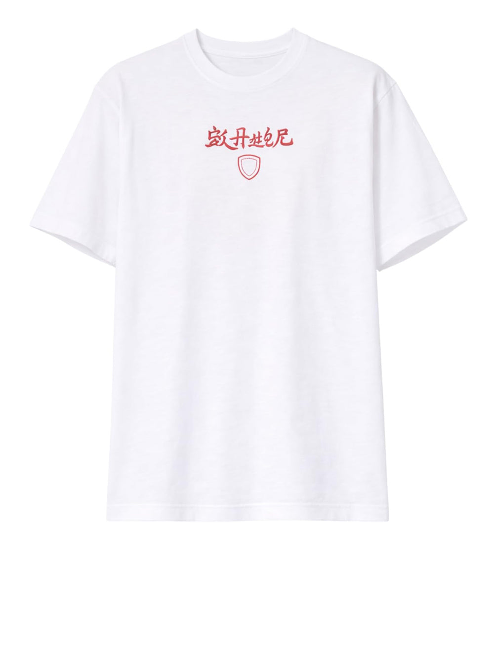 BLAUER T-shirt Uomo - Bianco modello 26SBLUH02317