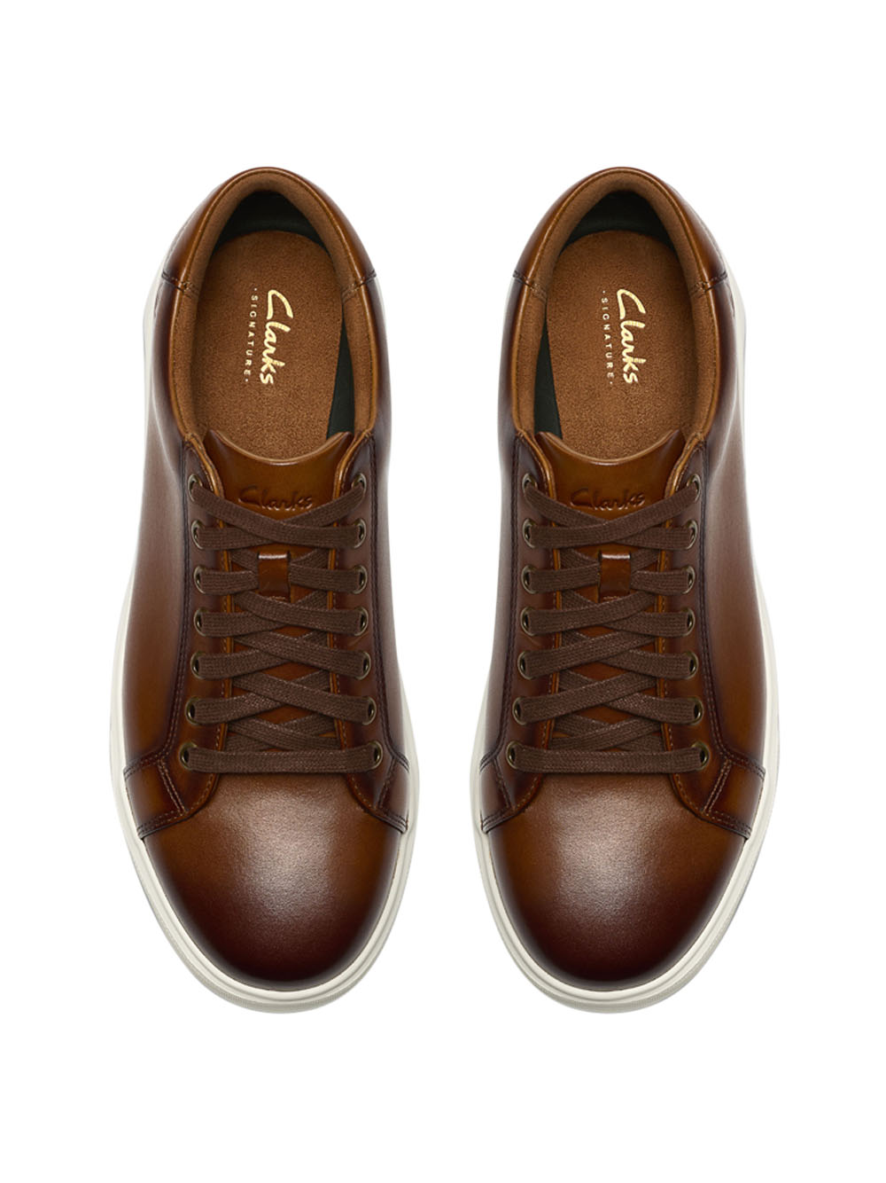 CLARKS Sneakers Uomo - Marrone modello 26186561