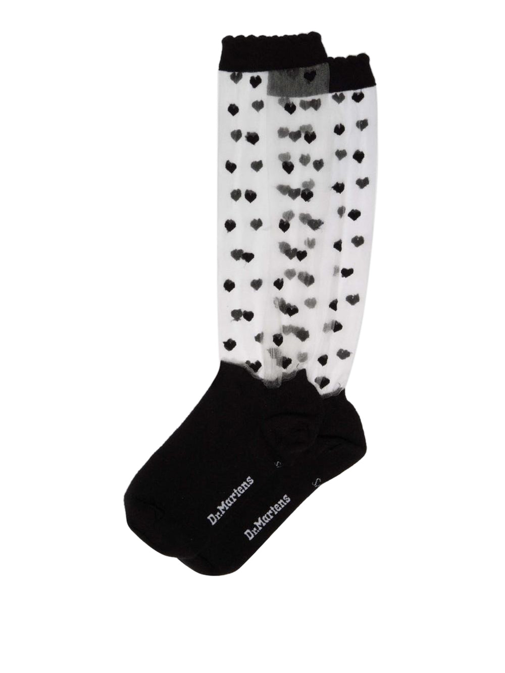 DR. MARTENS Calzini Donna - Nero modello 42499001