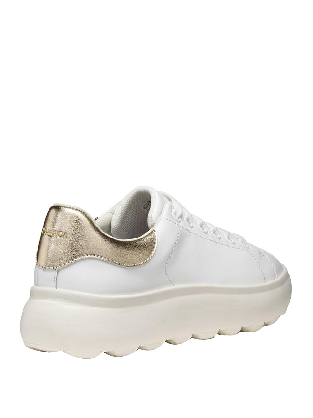 GEOX Sneakers Spherica Donna - Bianco modello D45TCD085BN