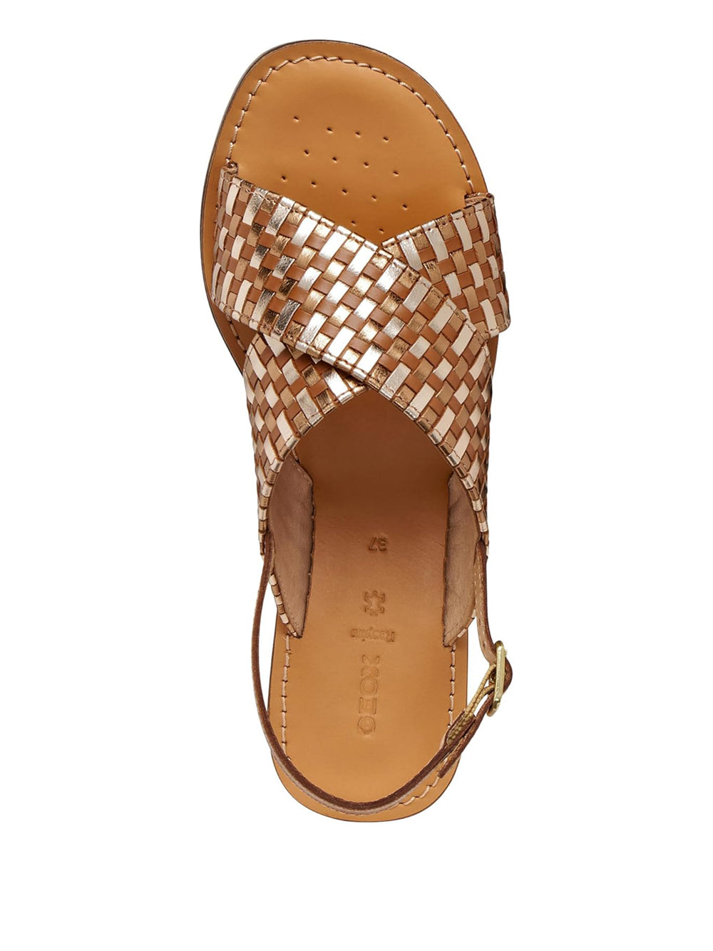 GEOX Sandali Donna - Marrone modello D65YMN0KFKY
