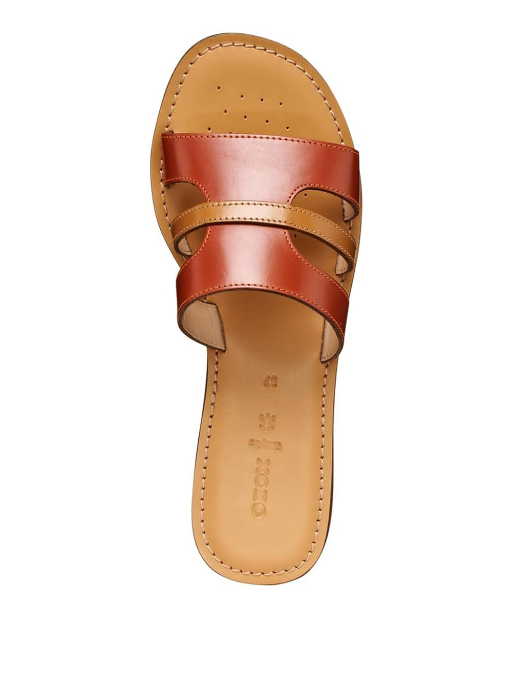 GEOX Sandali slippers Donna - Marrone modello D65YMP0001J