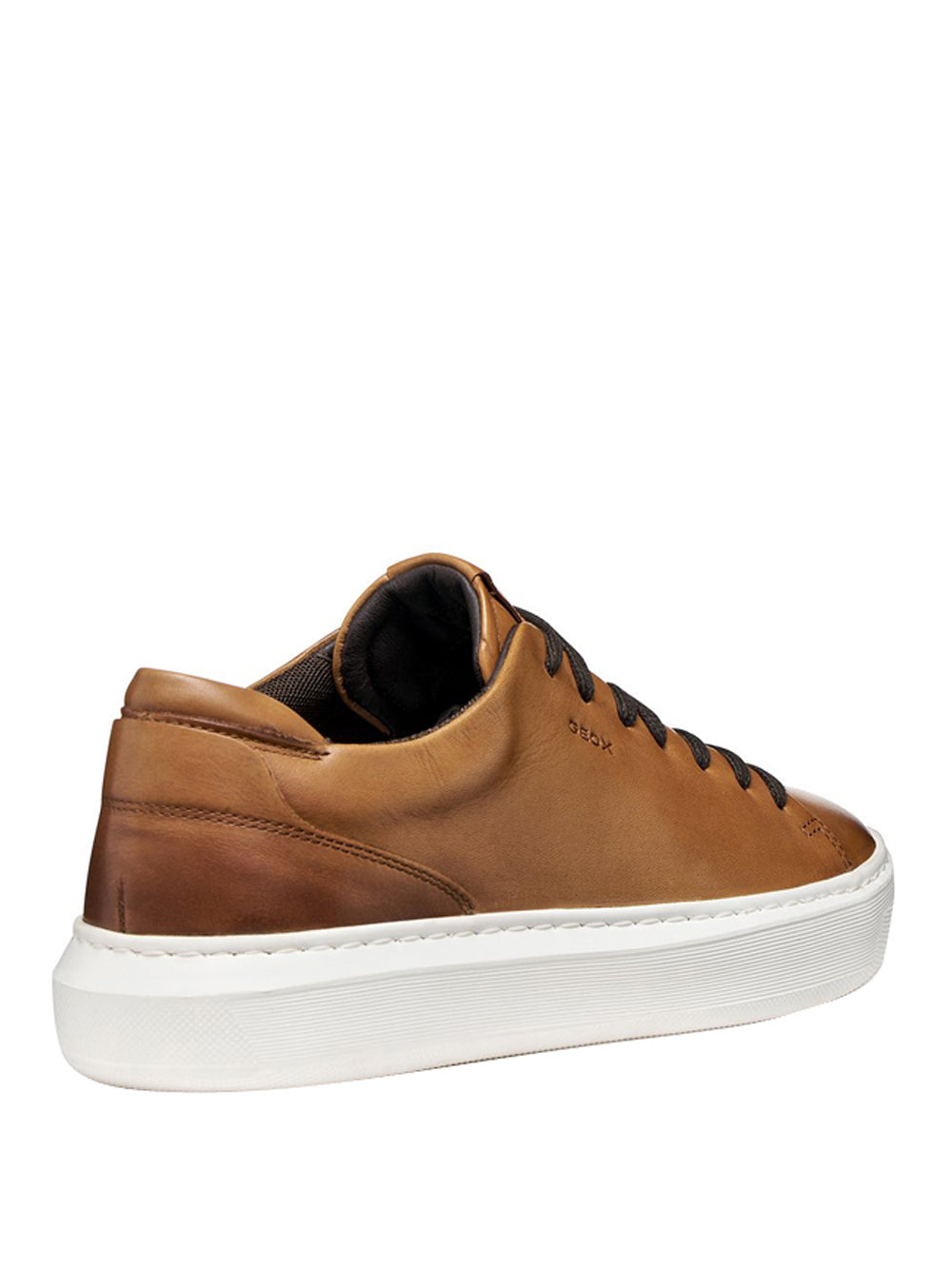 GEOX Sneakers Uomo - Marrone modello U655WA43