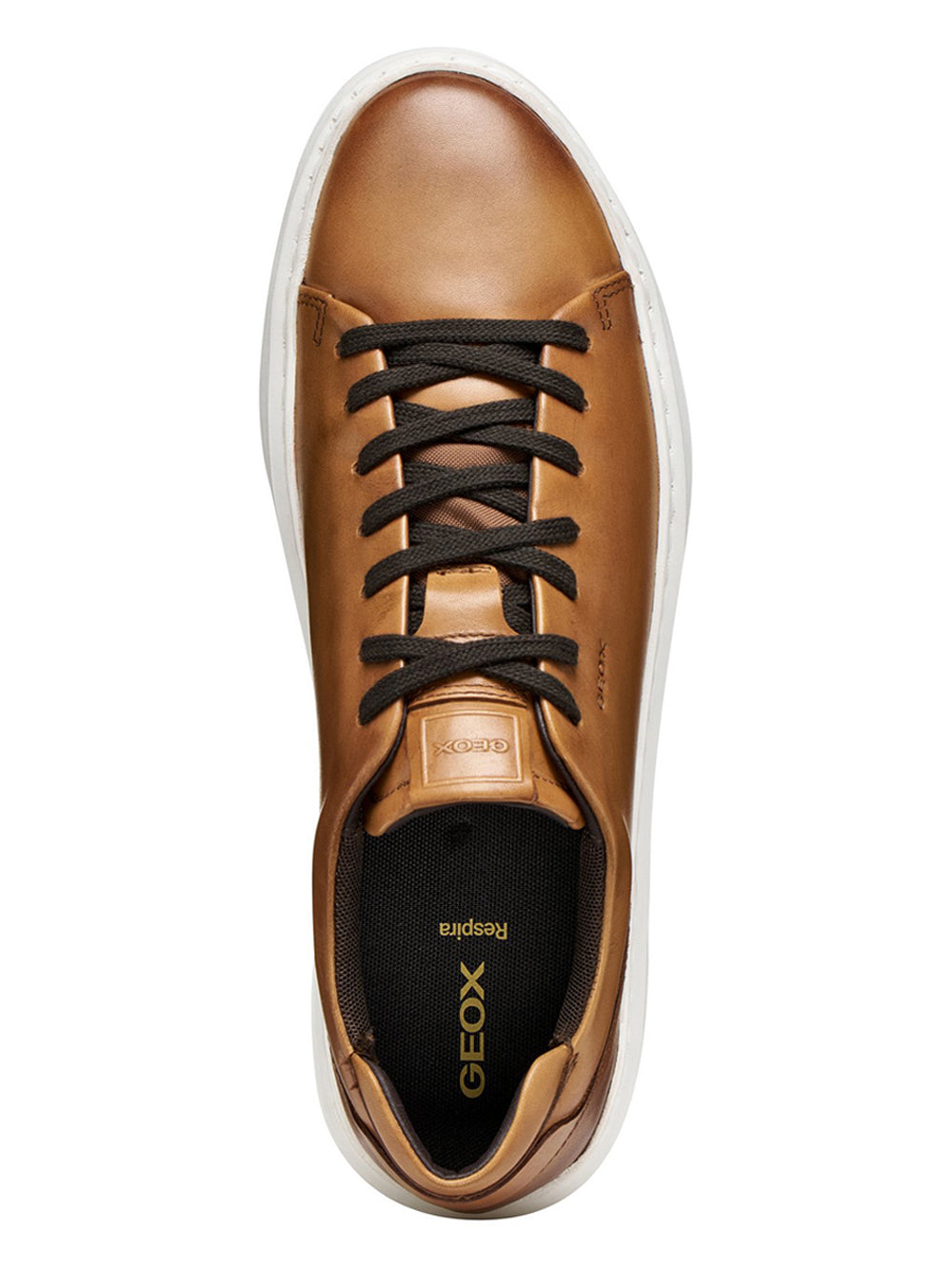 GEOX Sneakers Uomo - Marrone modello U655WA43