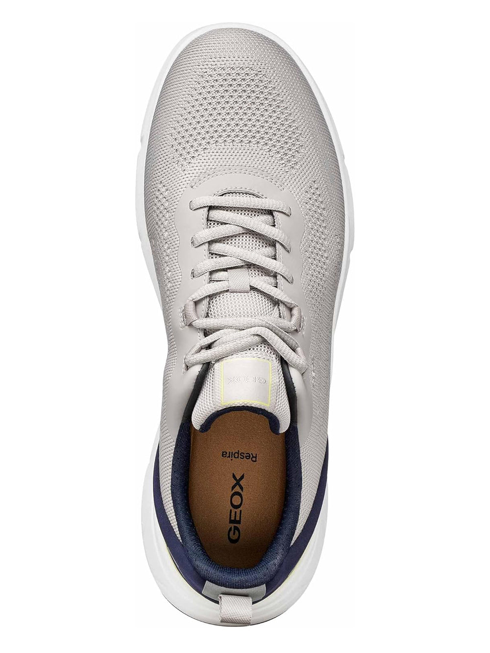 GEOX Sneakers Uomo - Grigio modello U65N8B06K15