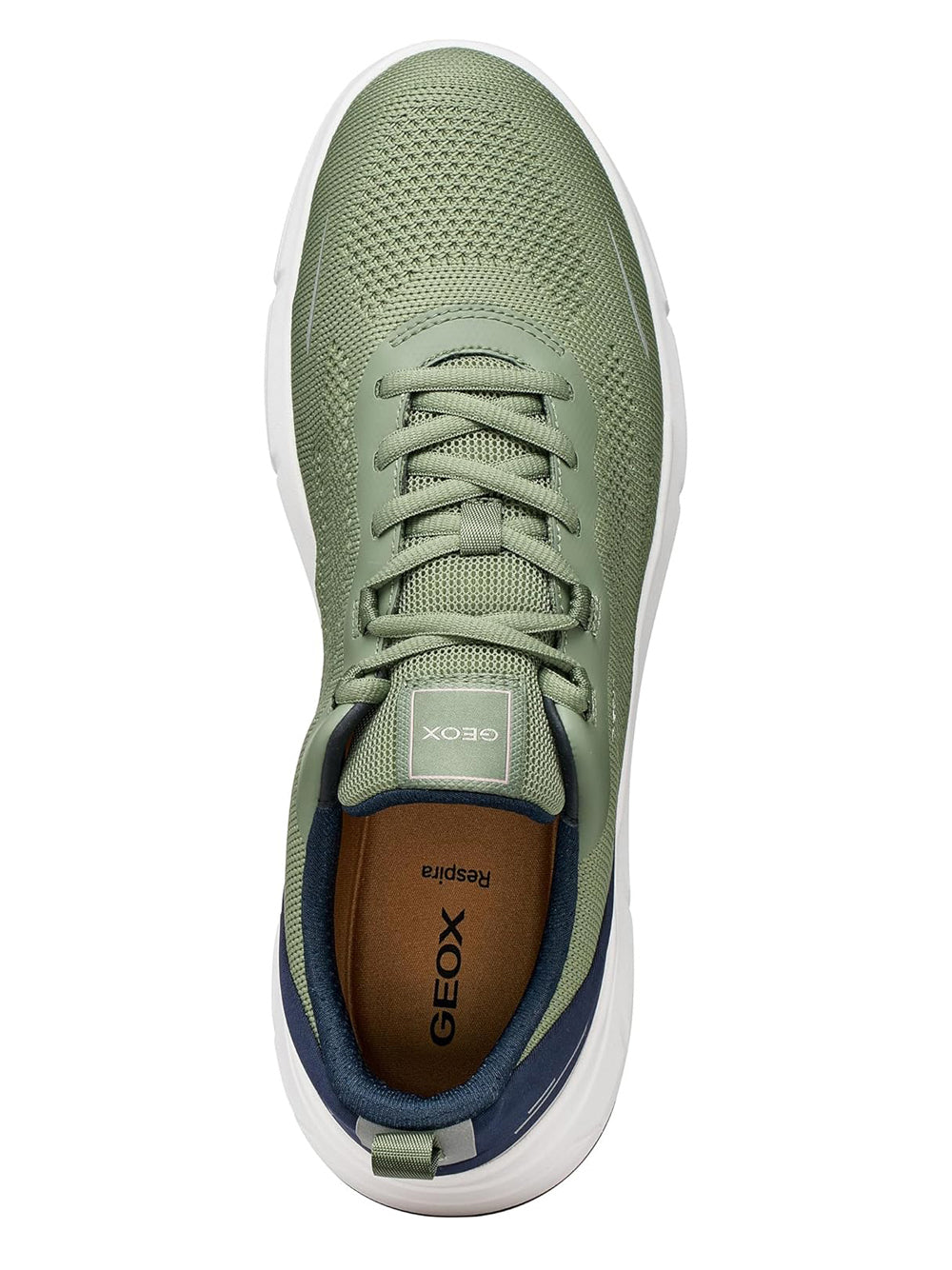 GEOX Sneakers Uomo - Verde modello U65N8B06K15