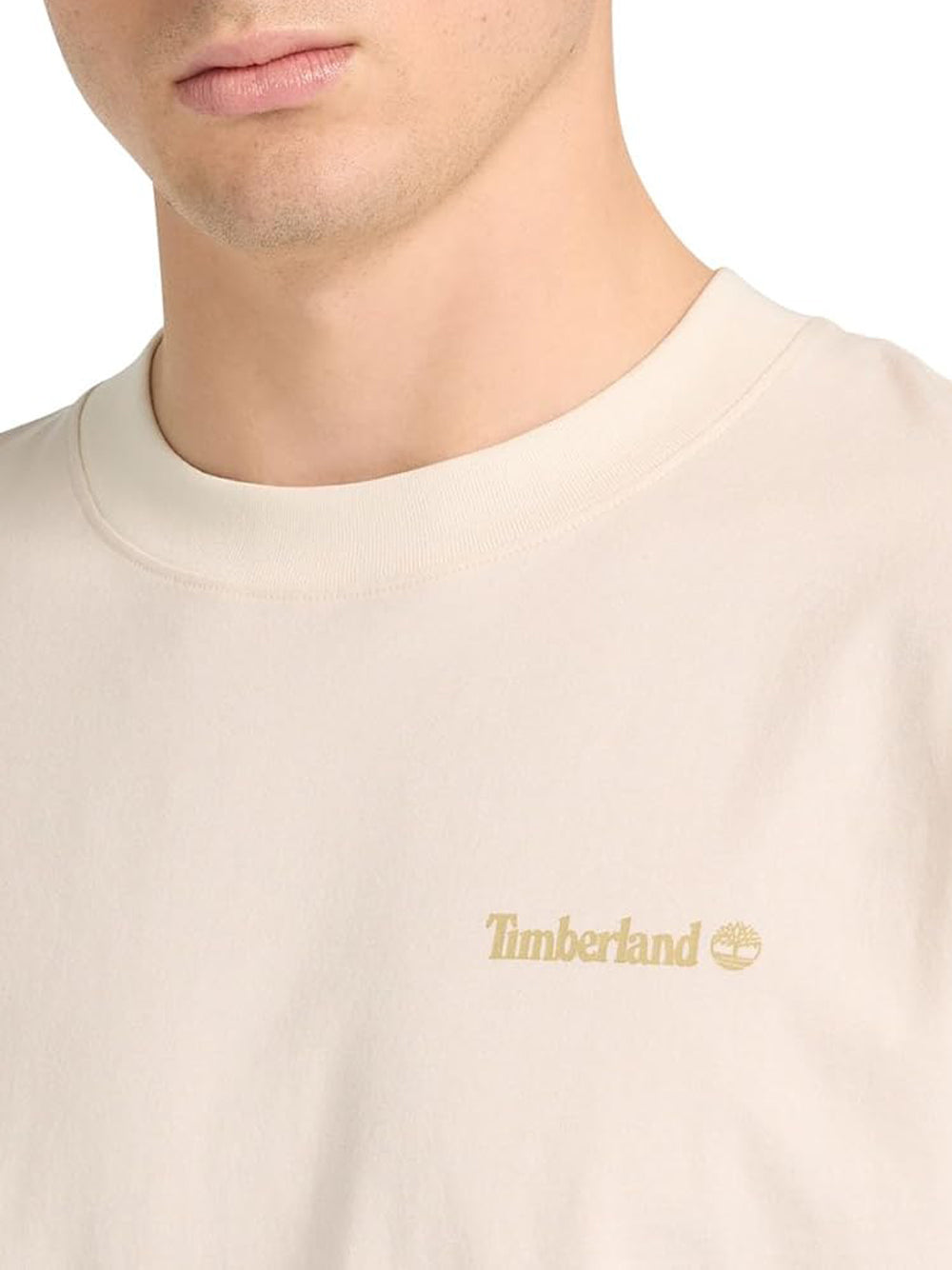 TIMBERLAND T-shirt Uomo - Bianco modello TB0A5MNVCM91