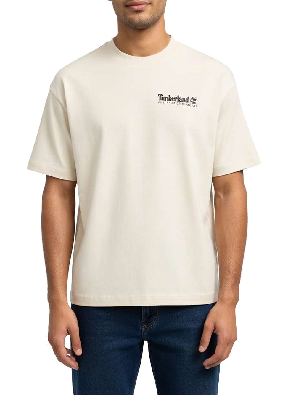 TIMBERLAND T-shirt Uomo - Beige modello TB0A5MQR2601