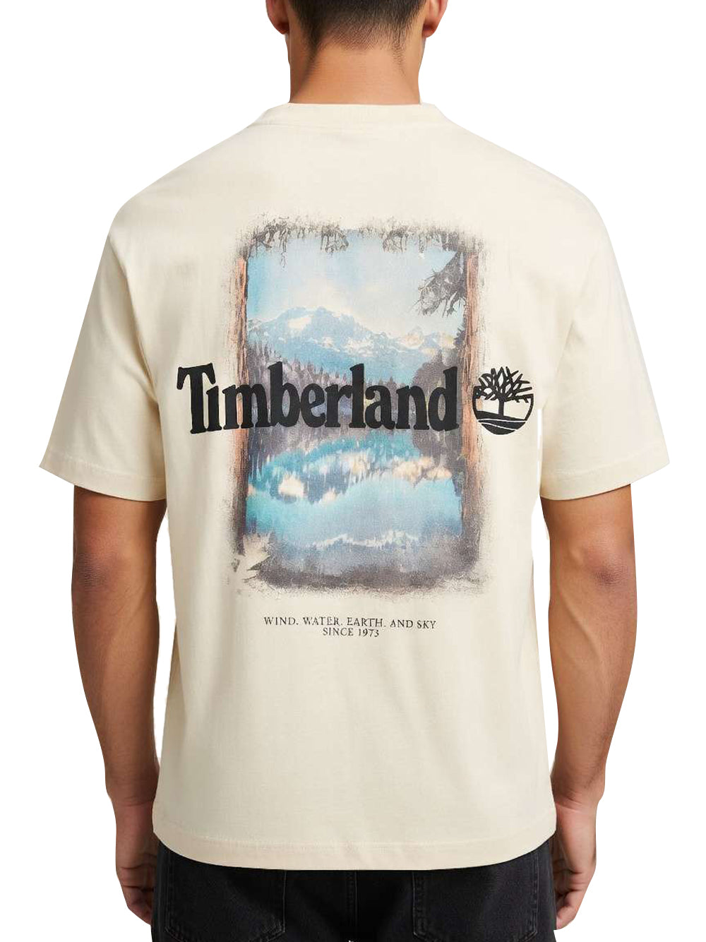 TIMBERLAND T-shirt Uomo - Beige modello TB0A5MQR2601