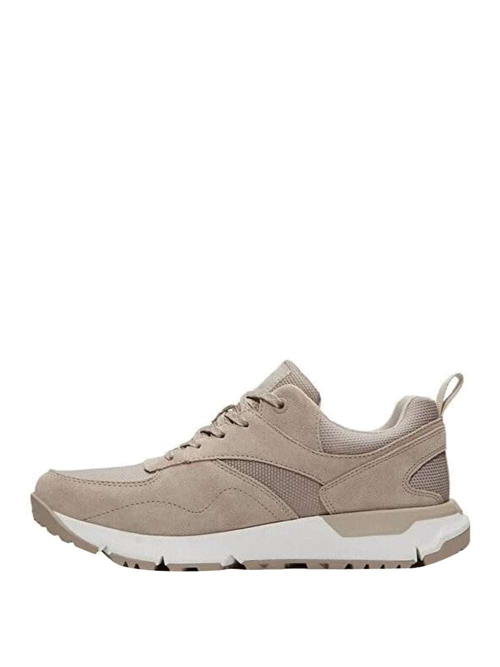 TIMBERLAND Sneakers Uomo - Beige modello TB0A6DTEEO41